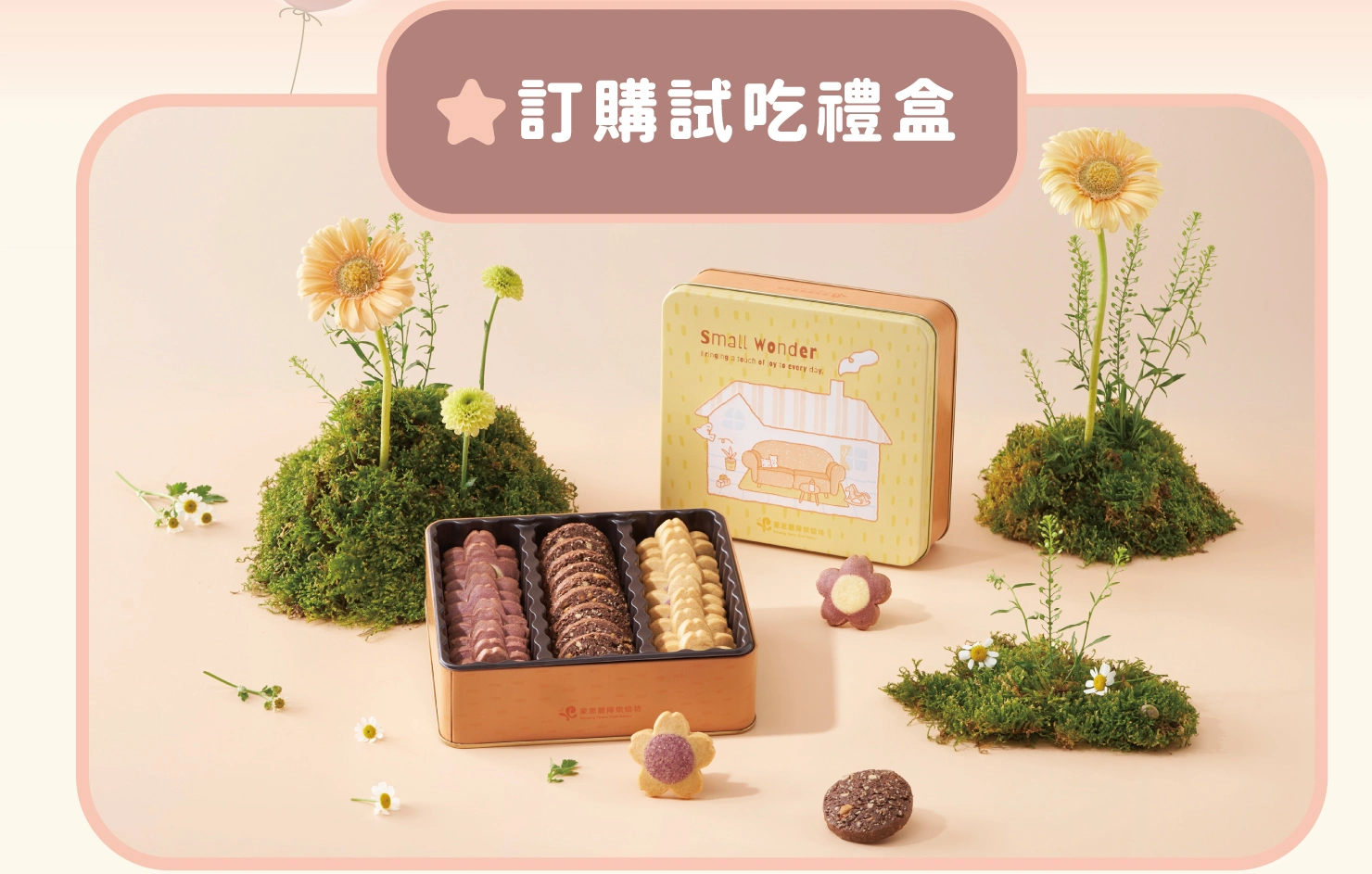訂購試吃禮盒